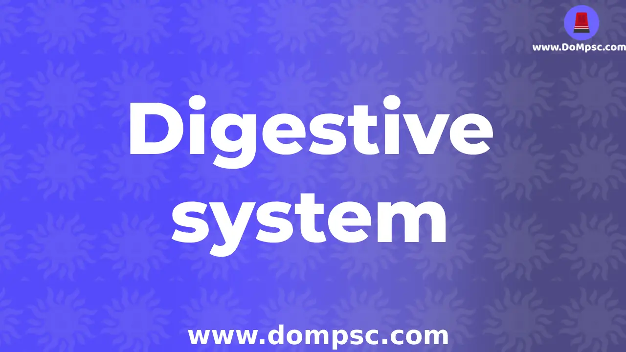 Digestive