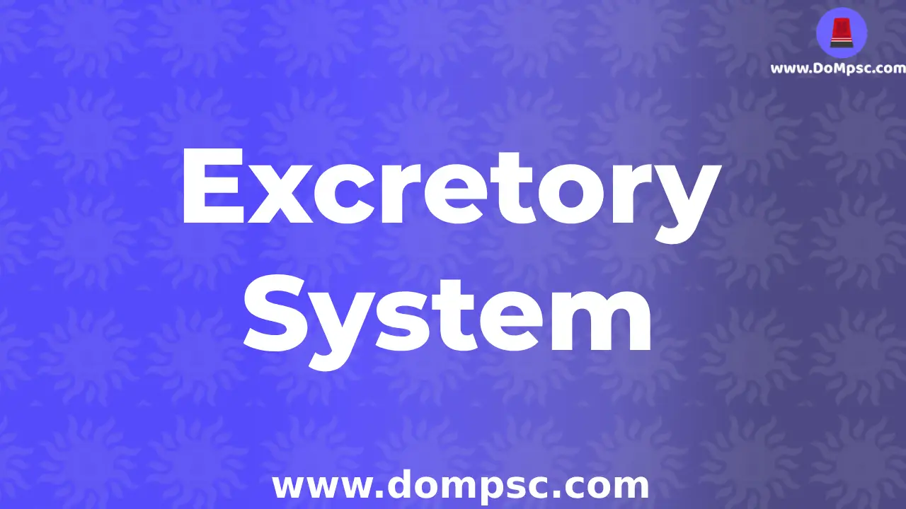 Secretary System