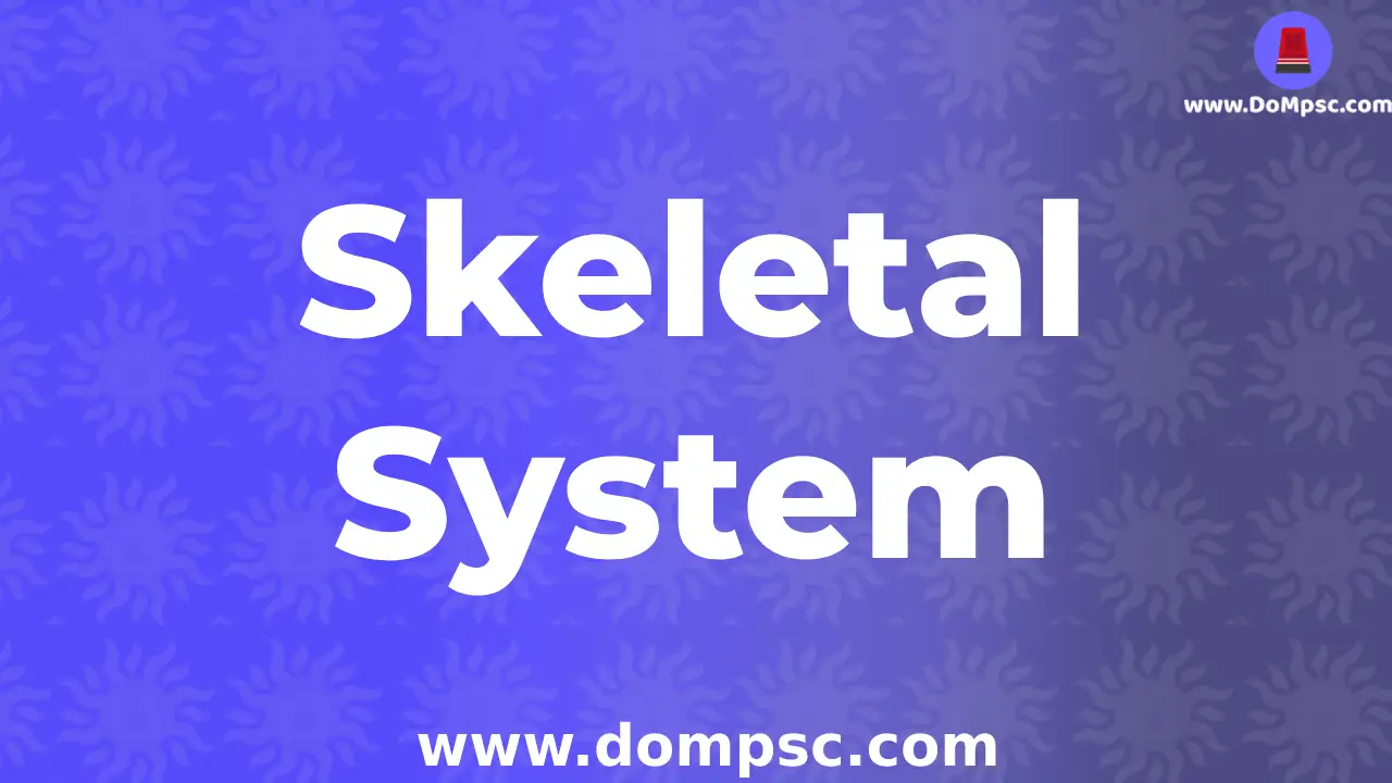 Skeletal Systems(अस्थि संस्था)