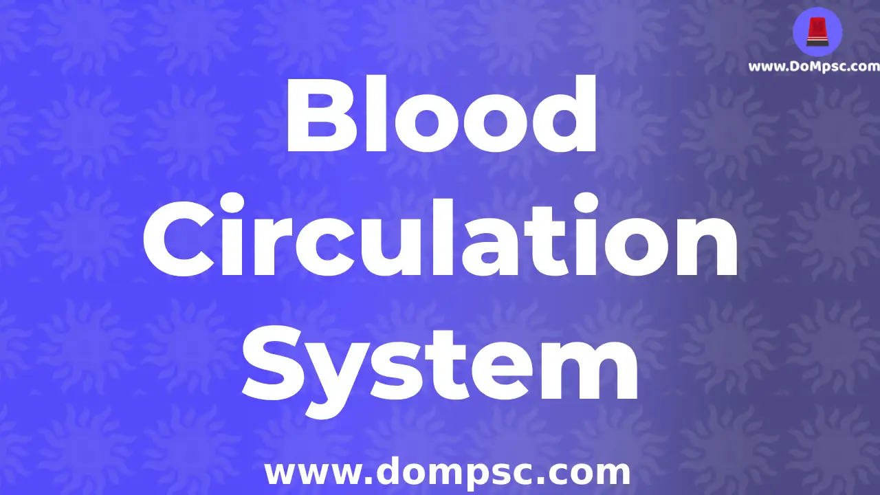 Blood Ciculation systems