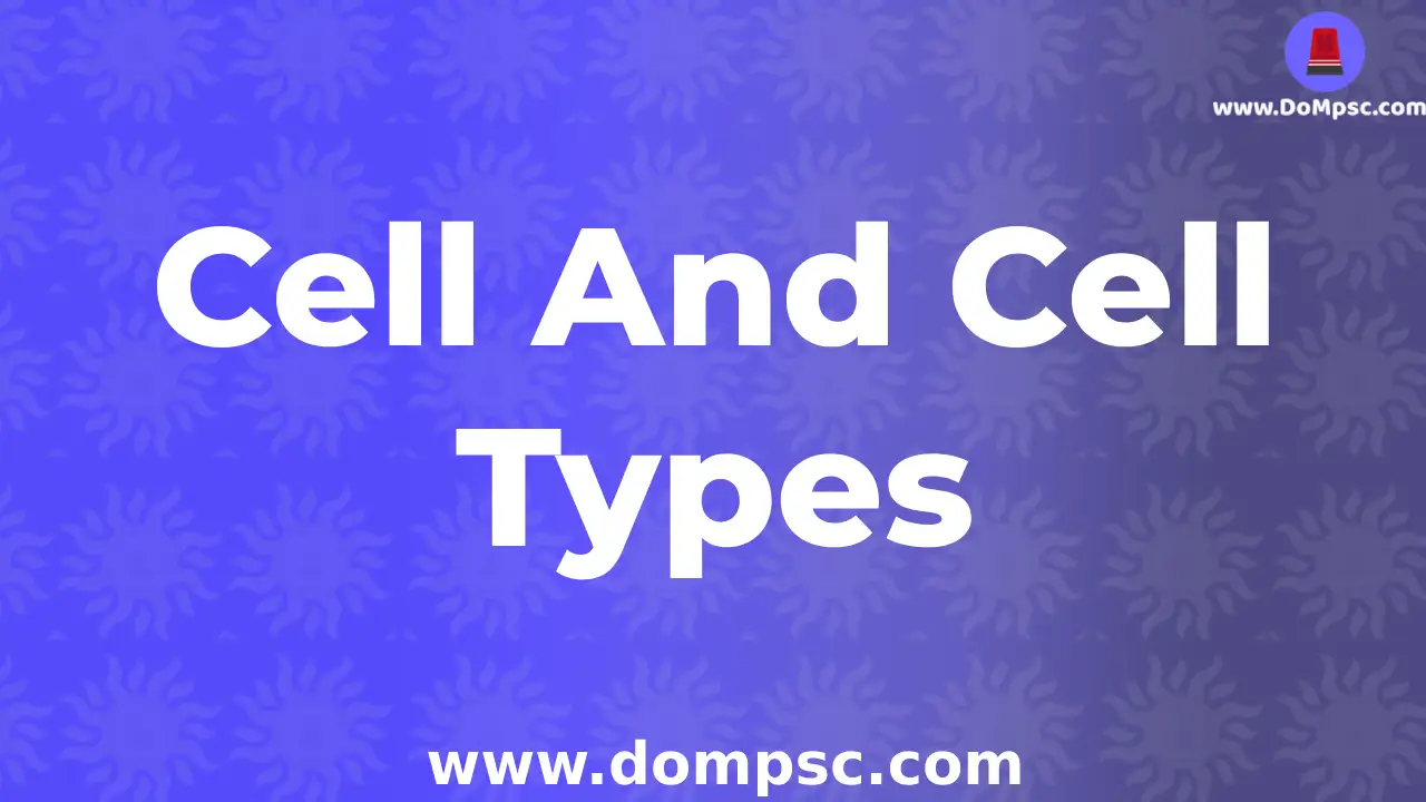 Cell Structure