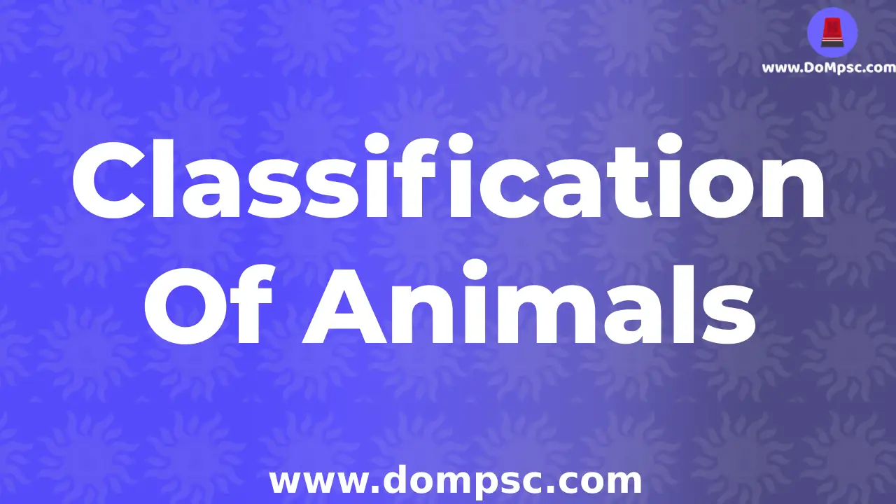 classification-of-animals